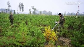 Lasy Nowaszyckie wielkim polem śmierci? - zdjęcie 16