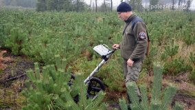 Lasy Nowaszyckie wielkim polem śmierci? - zdjęcie 13