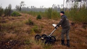 Lasy Nowaszyckie wielkim polem śmierci? - zdjęcie 11