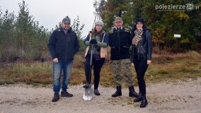 Lasy Nowaszyckie wielkim polem śmierci? - zdjęcie 10