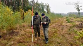 Lasy Nowaszyckie wielkim polem śmierci? - zdjęcie 1