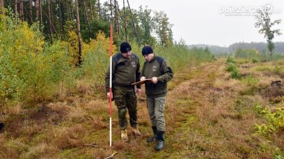 Lasy Nowaszyckie wielkim polem śmierci?