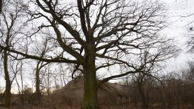 Sentymentalna podróż do Popowa Ignacewa... - zdjęcie 37