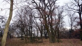 Sentymentalna podróż do Popowa Ignacewa... - zdjęcie 36