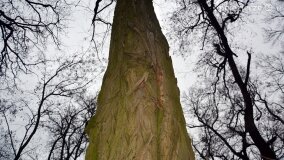 Sentymentalna podróż do Popowa Ignacewa... - zdjęcie 34