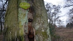 Sentymentalna podróż do Popowa Ignacewa... - zdjęcie 32