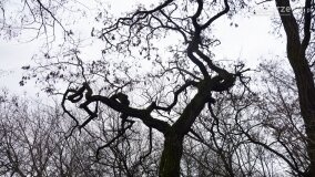 Sentymentalna podróż do Popowa Ignacewa... - zdjęcie 24