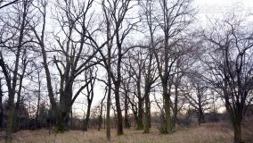 Sentymentalna podróż do Popowa Ignacewa... - zdjęcie 19