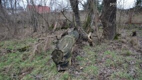 Sentymentalna podróż do Popowa Ignacewa... - zdjęcie 18