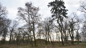 Sentymentalna podróż do Popowa Ignacewa... - zdjęcie 15