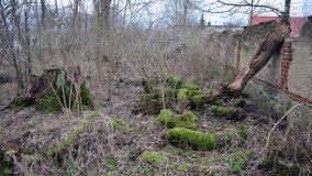 Sentymentalna podróż do Popowa Ignacewa... - zdjęcie 14