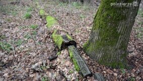 Sentymentalna podróż do Popowa Ignacewa... - zdjęcie 10