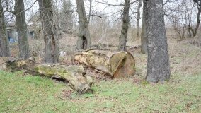 Sentymentalna podróż do Popowa Ignacewa... - zdjęcie 5