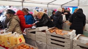 Tłumy w gminie Gniezno! Sprzedano 2,5 tys. najsmaczniejszych pączków w Wielkopolsce! - zdjęcie 12