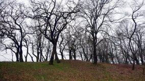 „Pogranicze Tajemnic 2024-2026” – nowy projekt naukowo-badawczy Fundacji Historycznej! - zdjęcie 35