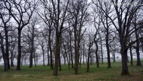 „Pogranicze Tajemnic 2024-2026” – nowy projekt naukowo-badawczy Fundacji Historycznej! - zdjęcie 31