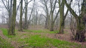 „Pogranicze Tajemnic 2024-2026” – nowy projekt naukowo-badawczy Fundacji Historycznej! - zdjęcie 28