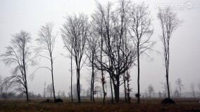 „Pogranicze Tajemnic 2024-2026” – nowy projekt naukowo-badawczy Fundacji Historycznej! - zdjęcie 15