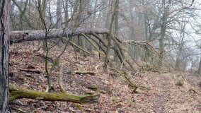 „Pogranicze Tajemnic 2024-2026” – nowy projekt naukowo-badawczy Fundacji Historycznej! - zdjęcie 3