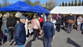 Najlepsze wypieki i potrawy na wielkanocny stół - zdjęcie 1