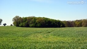 Śladami tajemnic, kręgów i zielarek, czyli z Kłecka przez Zakrzewo do Kusia! - zdjęcie 33