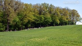 Śladami tajemnic, kręgów i zielarek, czyli z Kłecka przez Zakrzewo do Kusia! - zdjęcie 30