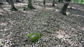 Śladami tajemnic, kręgów i zielarek, czyli z Kłecka przez Zakrzewo do Kusia! - zdjęcie 22