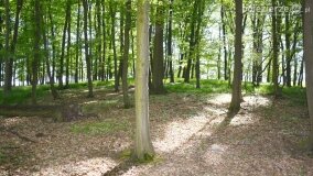 Śladami tajemnic, kręgów i zielarek, czyli z Kłecka przez Zakrzewo do Kusia! - zdjęcie 19