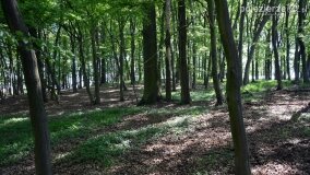 Śladami tajemnic, kręgów i zielarek, czyli z Kłecka przez Zakrzewo do Kusia! - zdjęcie 11