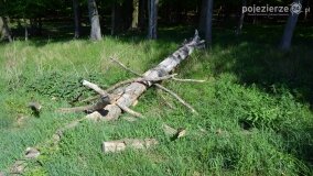 Śladami tajemnic, kręgów i zielarek, czyli z Kłecka przez Zakrzewo do Kusia! - zdjęcie 9