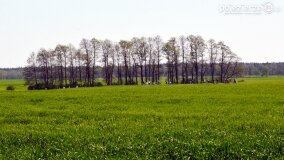Śladami tajemnic, kręgów i zielarek, czyli z Kłecka przez Zakrzewo do Kusia! - zdjęcie 7