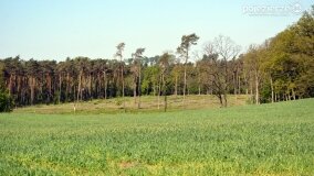 Śladami tajemnic, kręgów i zielarek, czyli z Kłecka przez Zakrzewo do Kusia! - zdjęcie 6