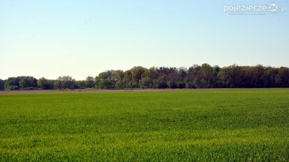Śladami tajemnic, kręgów i zielarek, czyli z Kłecka przez Zakrzewo do Kusia!