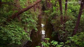 Rzeka Cybina jakiej nie znamy... - zdjęcie 30