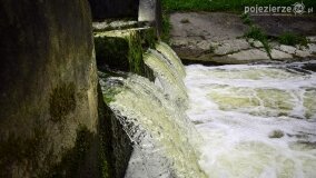 Rzeka Cybina jakiej nie znamy... - zdjęcie 23