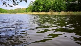 Rzeka Cybina jakiej nie znamy... - zdjęcie 20