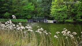 Rzeka Cybina jakiej nie znamy... - zdjęcie 19