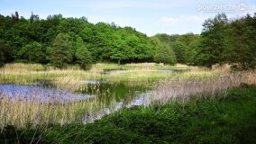 Rzeka Cybina jakiej nie znamy... - zdjęcie 18