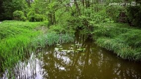 Rzeka Cybina jakiej nie znamy... - zdjęcie 17