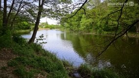 Rzeka Cybina jakiej nie znamy... - zdjęcie 16