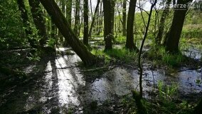 Rzeka Cybina jakiej nie znamy... - zdjęcie 14