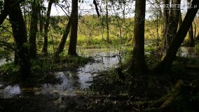 Rzeka Cybina jakiej nie znamy... - zdjęcie 13