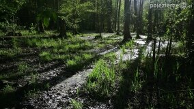 Rzeka Cybina jakiej nie znamy... - zdjęcie 12