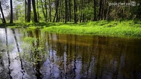 Rzeka Cybina jakiej nie znamy... - zdjęcie 11