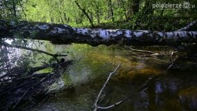 Rzeka Cybina jakiej nie znamy... - zdjęcie 9