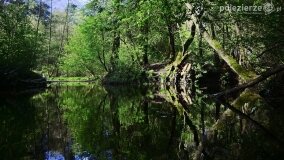 Rzeka Cybina jakiej nie znamy... - zdjęcie 8