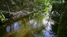 Rzeka Cybina jakiej nie znamy... - zdjęcie 7