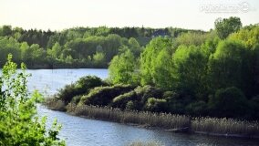 Rzeka Cybina jakiej nie znamy... - zdjęcie 5