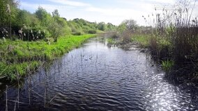 Rzeka Cybina jakiej nie znamy... - zdjęcie 4