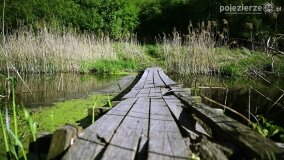 Rzeka Cybina jakiej nie znamy... - zdjęcie 2